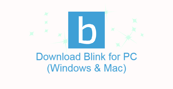 Blink for PC