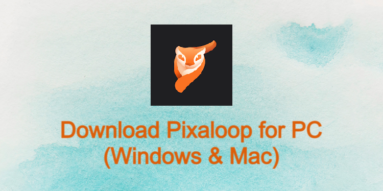 Pixaloop for PC